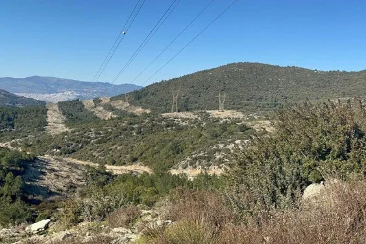 Ova getdi: - Oğlunu öldürdü