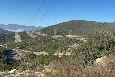 Ova getdi: - Oğlunu öldürdü