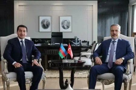 Hikmət Hacıyev Hakan Fidanla görüşdü