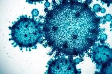 Covidə bənzər yeni virus - KƏŞF EDİLDİ