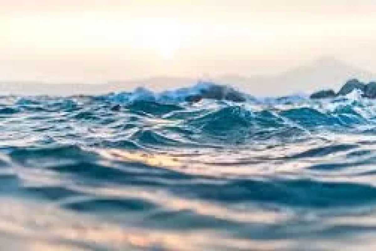 Balıq tutmaq istəyirdi - GÖRÜN DƏNİZDƏN NƏ ÇIXDI