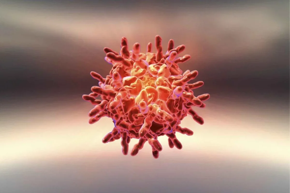 Xərçəng xəstəliyi ilə bağlı yenilik: - Peyvənd kəşf olundu