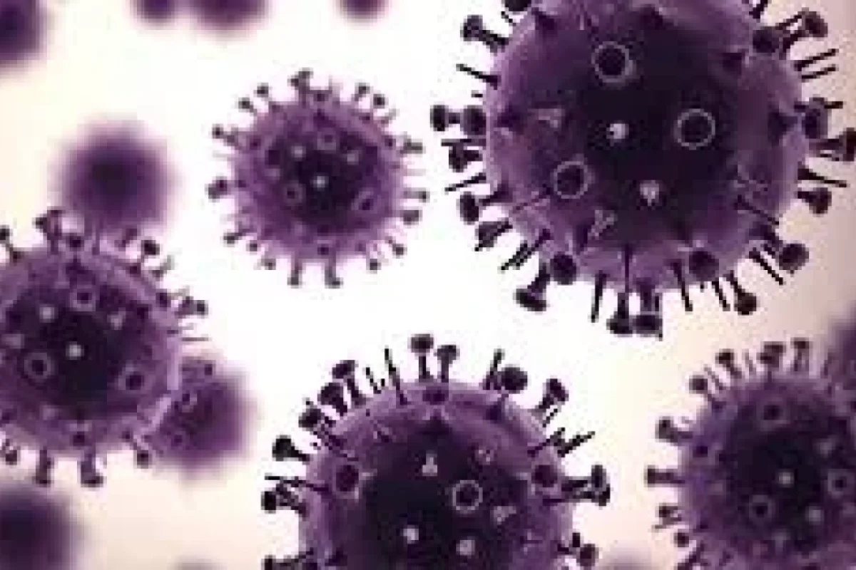 Saatlar ərzində 50 nəfər - həyatını itirdi