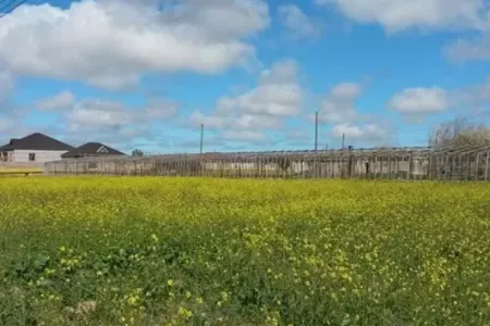 Bələdiyyələr satdıqları torpaqlara - qiymət müəyyən edə bilməyəcək