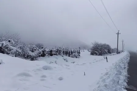 Qarlı, soyuq havada papaqsız gəzmək təhlükəlidir? – - Bunlara səbəb olur