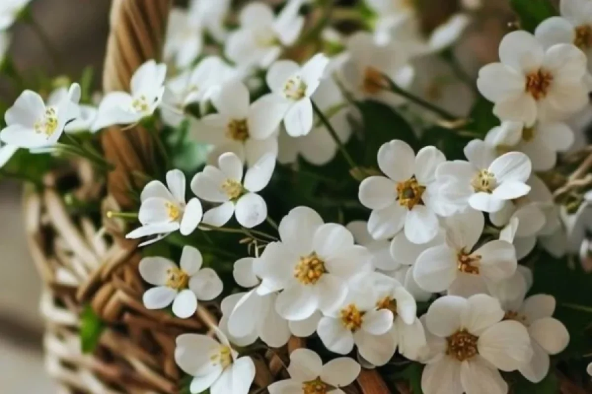 Mütəxəssisdən xəbərdarlıq: - "Xoş qoxulara aldanmayın, ciddi problemlər yaradır"