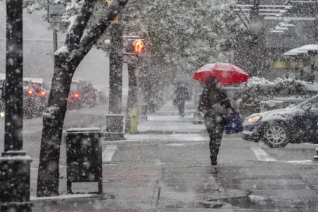 Soyuq havanın ürək üçün təhlükəsi açıqlandı - Bunları etmək olmaz