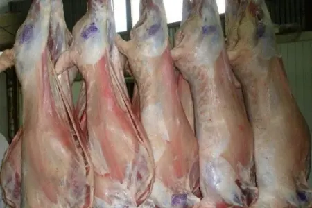 Qoyun ətinin insan orqanizminə misilsiz faydaları