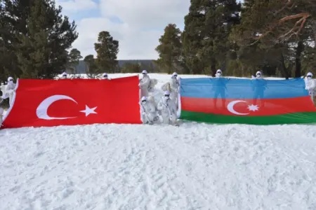 Azərbaycan və Türkiyə hərbçiləri birgə təlim keçdi - Fotolar
