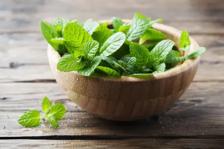 Nanənin bilmədiyiniz - FAYDALARI