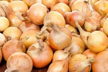 Soğan alarkən bunlara diqqət edin - Məsləhətlər