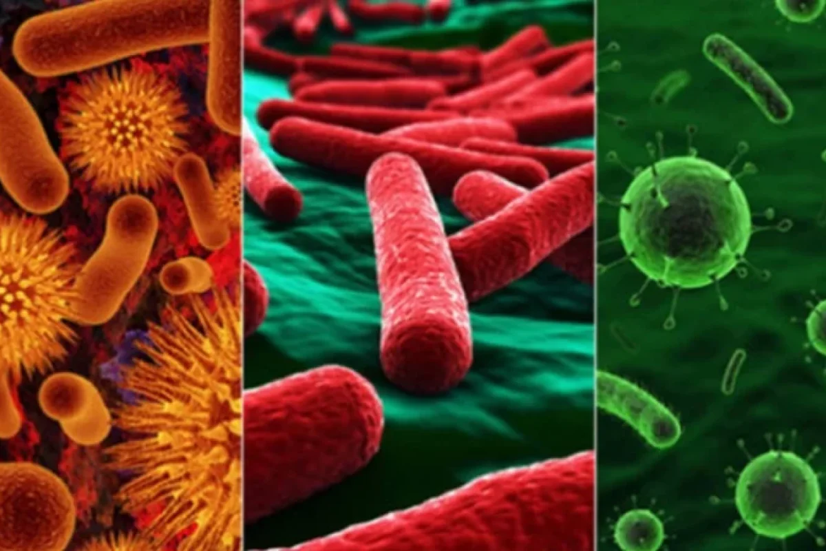 Ağızdakı bakteriyalar bu xəstəliyin xəbərçisi ola bilər - Yeni araşdırma