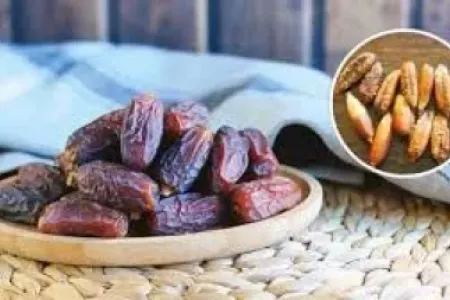 Görün xurma toxumlarının - qurudulması nə edir...