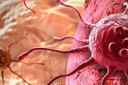 Bu vitamin Xərçəngi zəiflədir