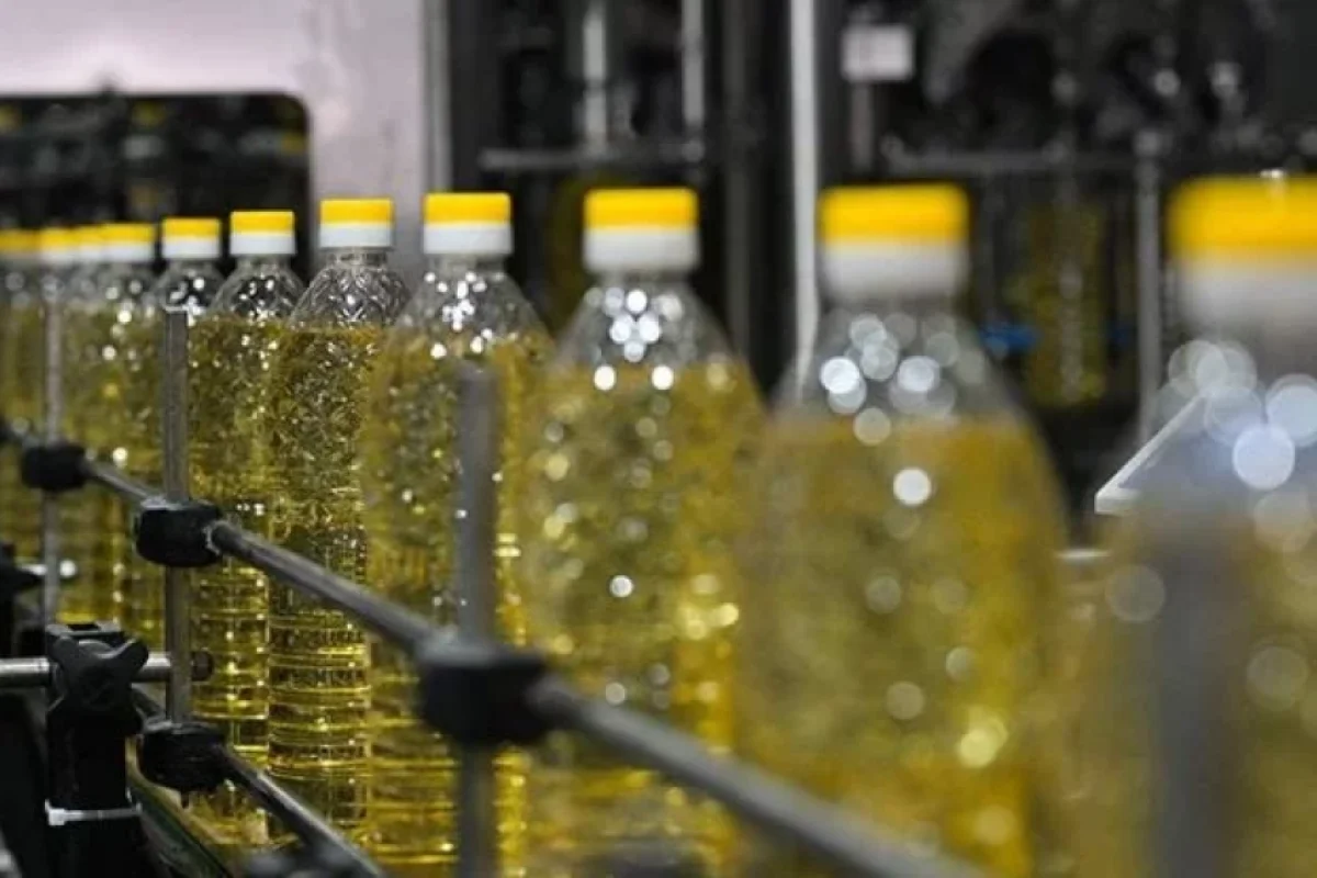 Orqanizm üçün ən faydalı yağlar - HANSILARDIR?