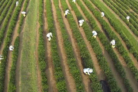 Hansı bölgələrimizdə kənd təsərrüfatı və turizmi daha çox inkişaf edib? - ADLAR
