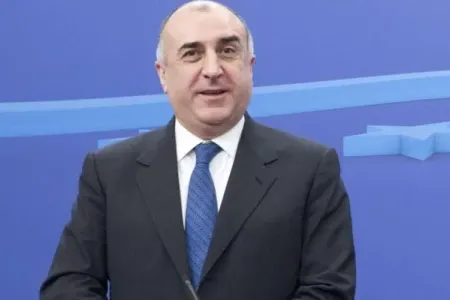 Həmin şirkəti o adama bağışlayacam - Məmmədyarov