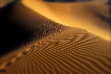 Əlcəzairdə Marsın - izi tapıldı