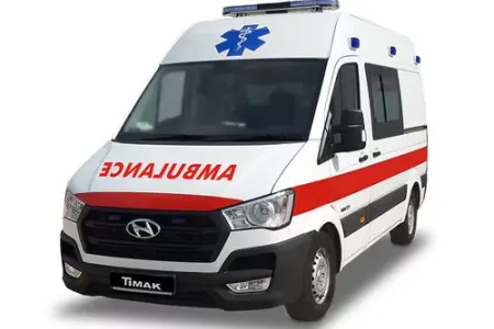 İranda sümük toxumasını - sağaldan pasta yaradılıb