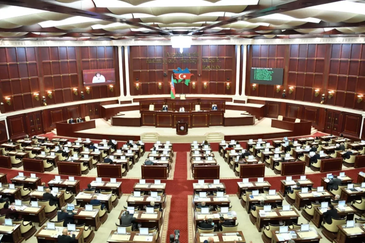 Ombudsman parlamentdə nöqsanlardan danışdı - DETALLAR