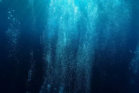 Okeanın dərinliklərində minlərlə - yeni mikrob növü aşkarlandı