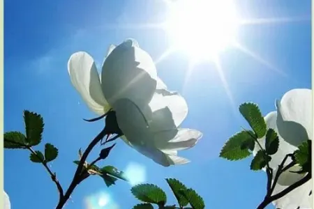 Temperatur 22 dərəcəyə yüksələcək