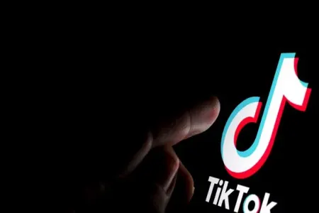 Daha bir ölkədə TikTok qadağan edildi