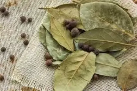 Qarışqalar evinizdən əbədi yox olacaq: - dəfnə yarpaqlarını bu yerlərə qoyun