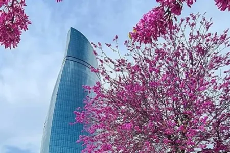 Sabah əsl yaz havası olacaq