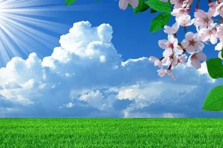 Temperatur yüksələcək - Hava PROQNOZU