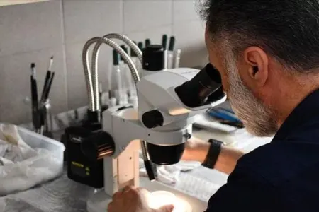 Çinli alimlər elmə məlum olmayan canlı aşkar ediblər