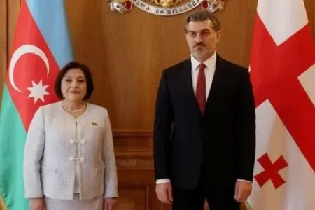 Sahibə Qafarova Gürcüstan prezidenti ilə görüşdü