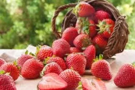 Xərçəng və şəkər xəstəliklərinin qarşısını alan - 2 Giləmeyvə