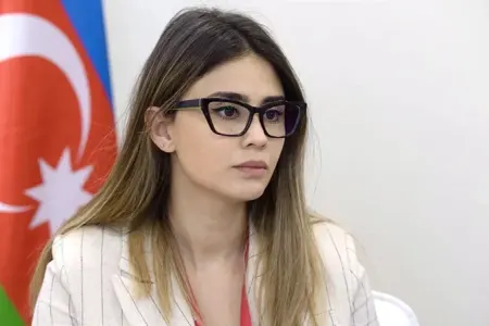 Rəna Nəsirova yeni vəzifəyə təyin olundu
