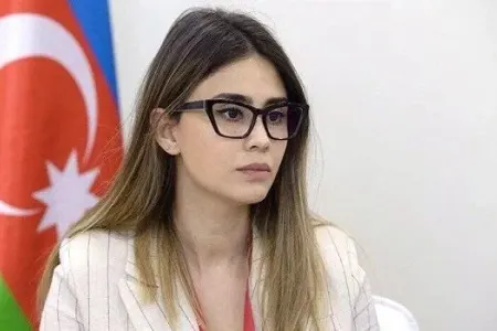 Rəna Nəsirovaya yeni vəzifə verildi