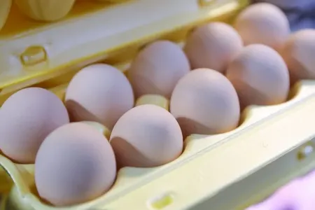 Yumurtaları yağlamamış soyuducuya qoymayın: - Nəticə sizi şoka salacaq