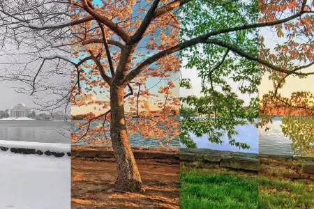 Azərbaycanda bu fəsil sıradan çıxır – Ekoloq