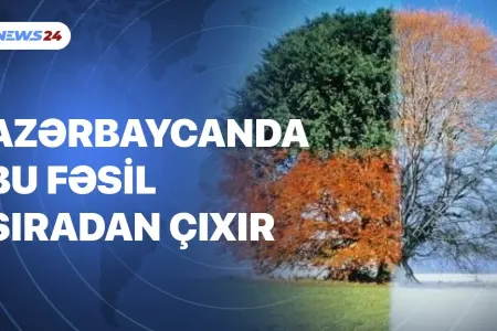 Azərbaycanda bu fəsil sıradan çıxır - VİDEO