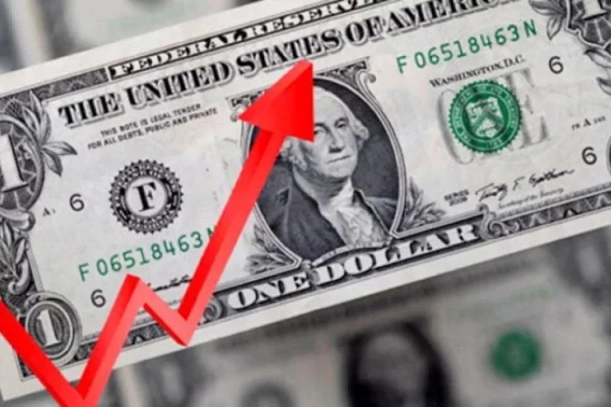 Dollar bu gün yüksəldi