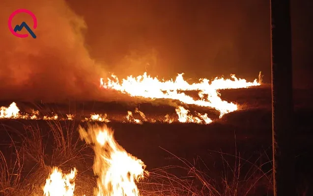 Qaxda 100 hektar ərazi yandı