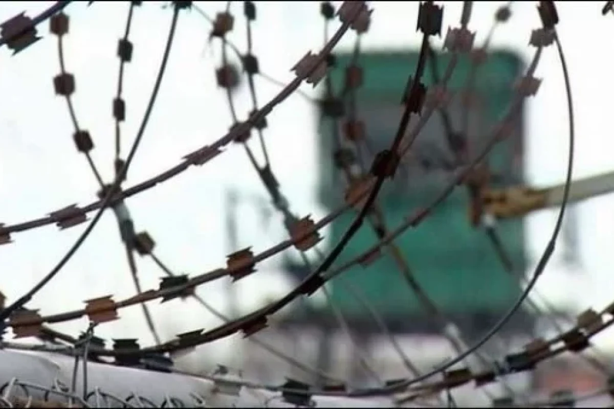 2025-ci ildə amnistiya olmayacaq - Nazir