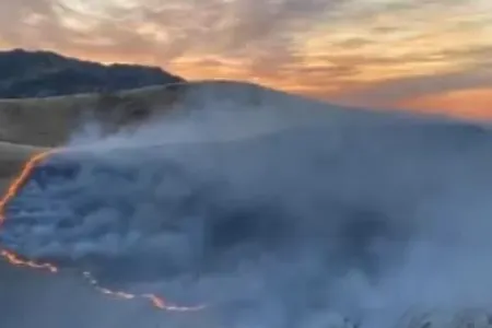 Bərdədə meyvə bağları yandı