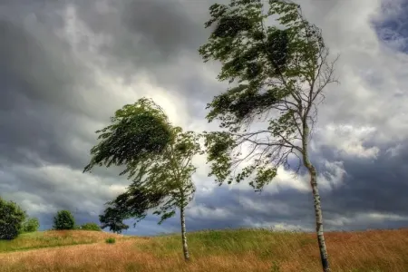 Hava şəraiti ilə bağlı sarı xəbərdarlıq verildi