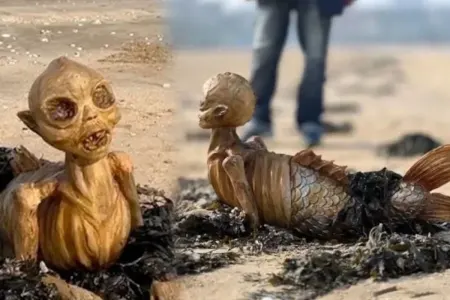 Çimərlikdə tapılan skelet insanları qorxuya saldı - FOTO