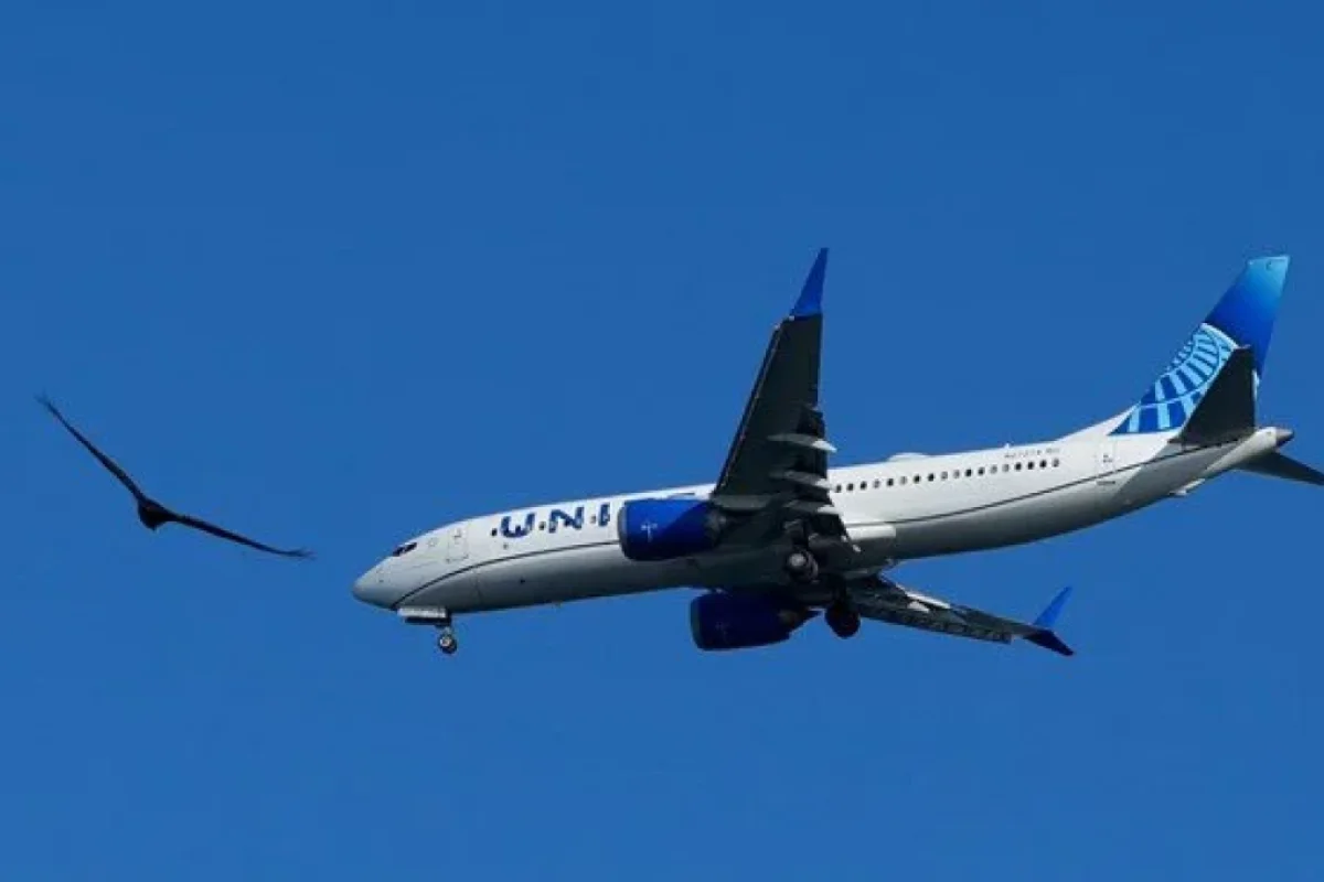 Pilot pasportunu unutdu, - təyyarə geri döndü