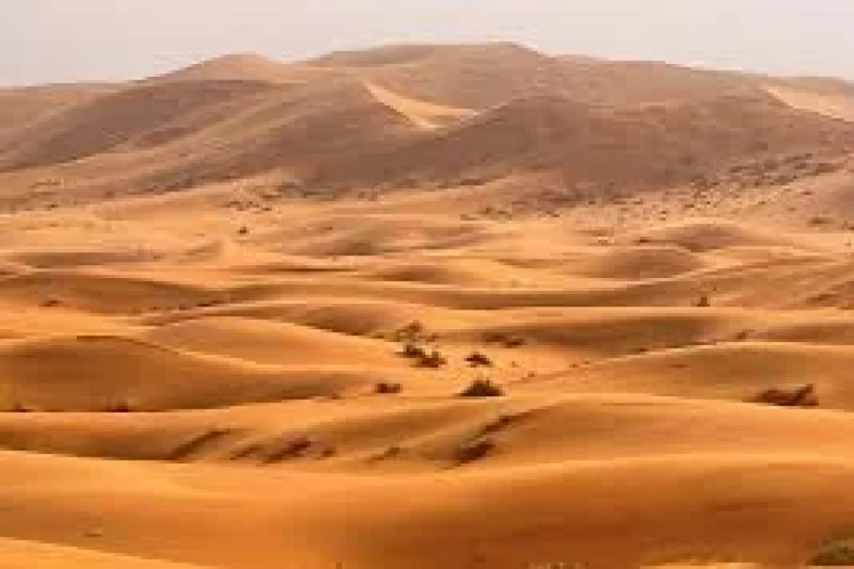 Göz gözü görməyəcək - MASKA TAXMAQDA FAYDA VAR