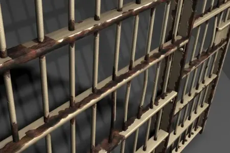 47 il günahsız yerə həbsdə qaldı, - çıxanda milyonçu oldu