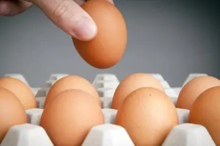 Dünyanın ən bahalı yumurtası satıldı