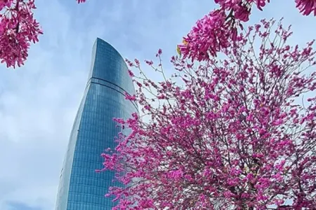 Martın son Bazar günü: HAVA NECƏ OLACAQ?