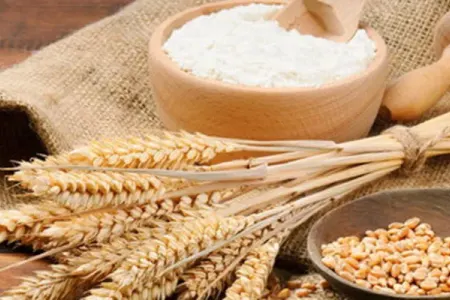 Fitrə zəkatı nə vaxt çıxarılmalıdır?
